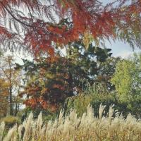 Art et Poésie n°249 - Janvier-avril 2021