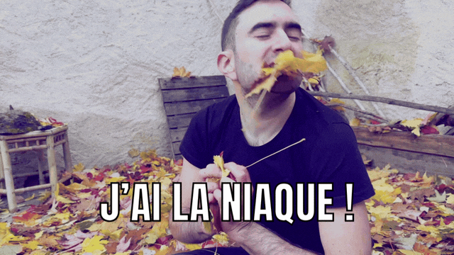Meme j ai la niaque