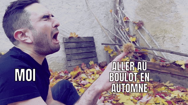 Meme moi aller au boulot en automne