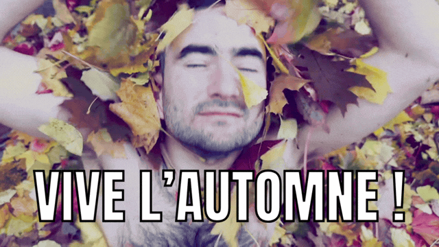 Meme vive l automne